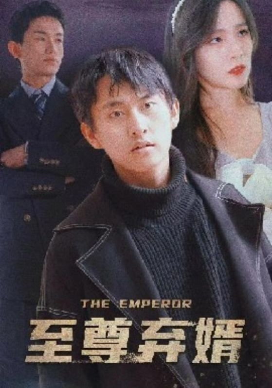 至尊弃婿