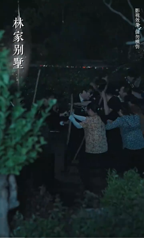 夫人别虐了真真就是您的心尖宠2