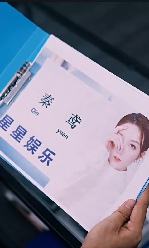 娱乐圈盛宠，总裁请指教4