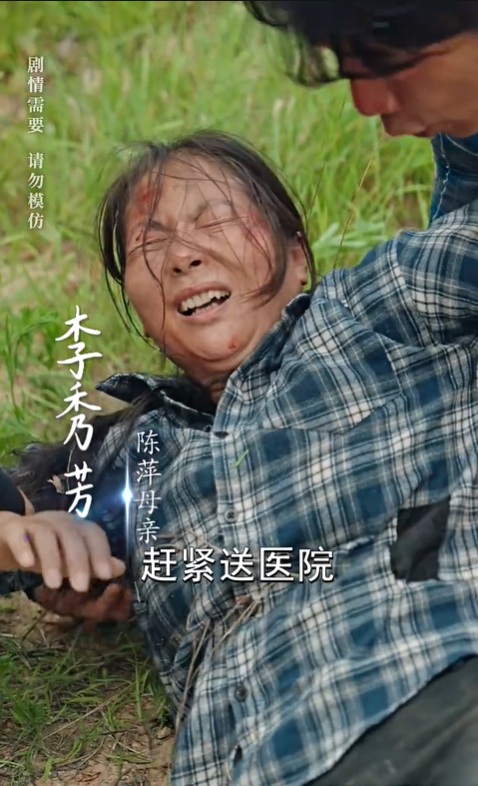 走出去带回来3