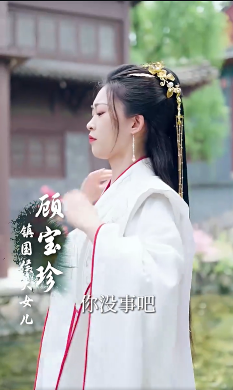 雁归来4