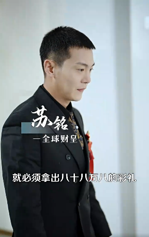 神秘未婚妻助我上青云2