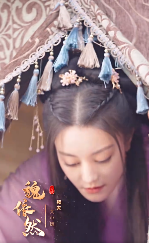 重生之大武帝婿4